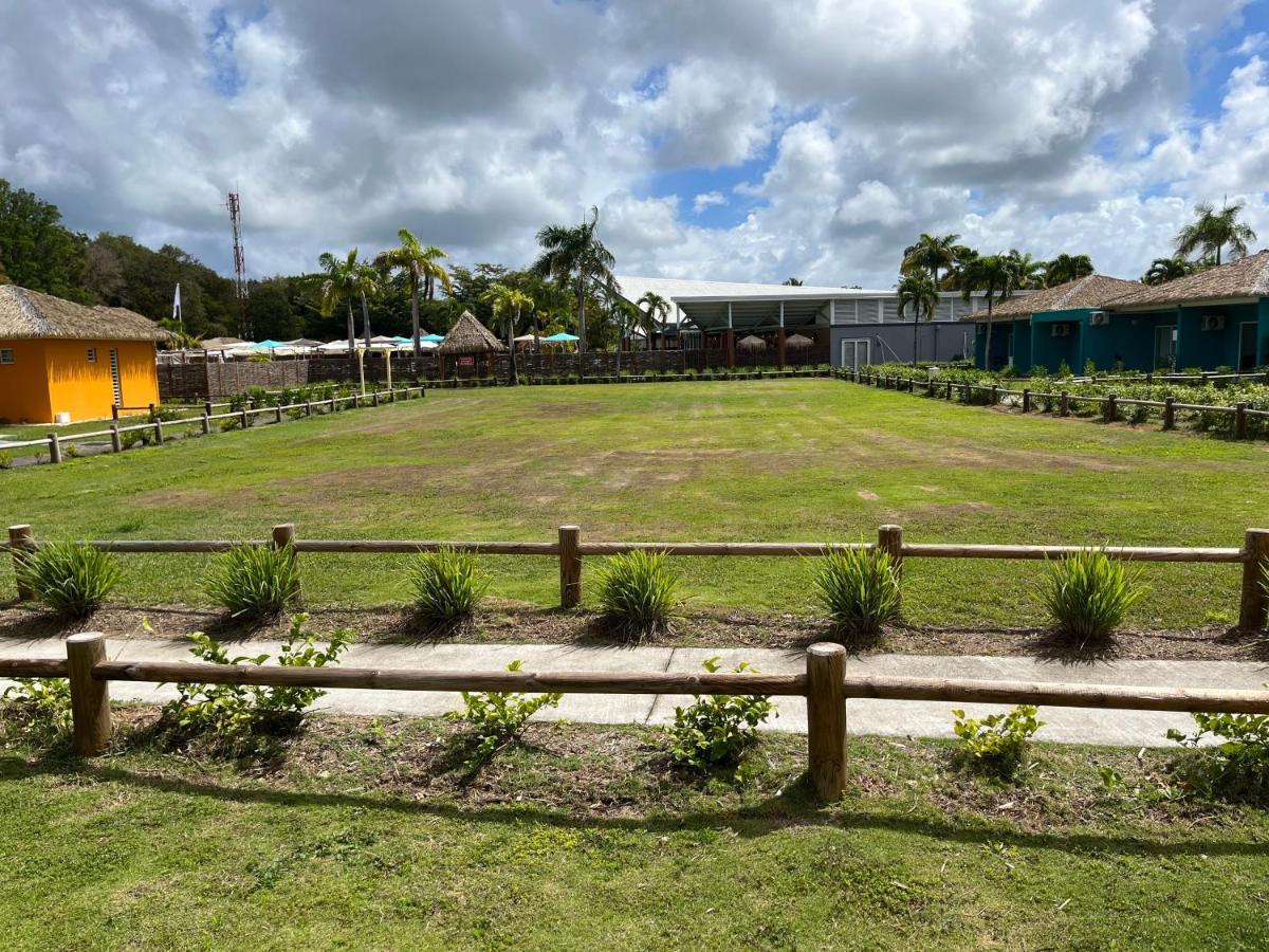 Appartement Blue Dream - - Marie-galante